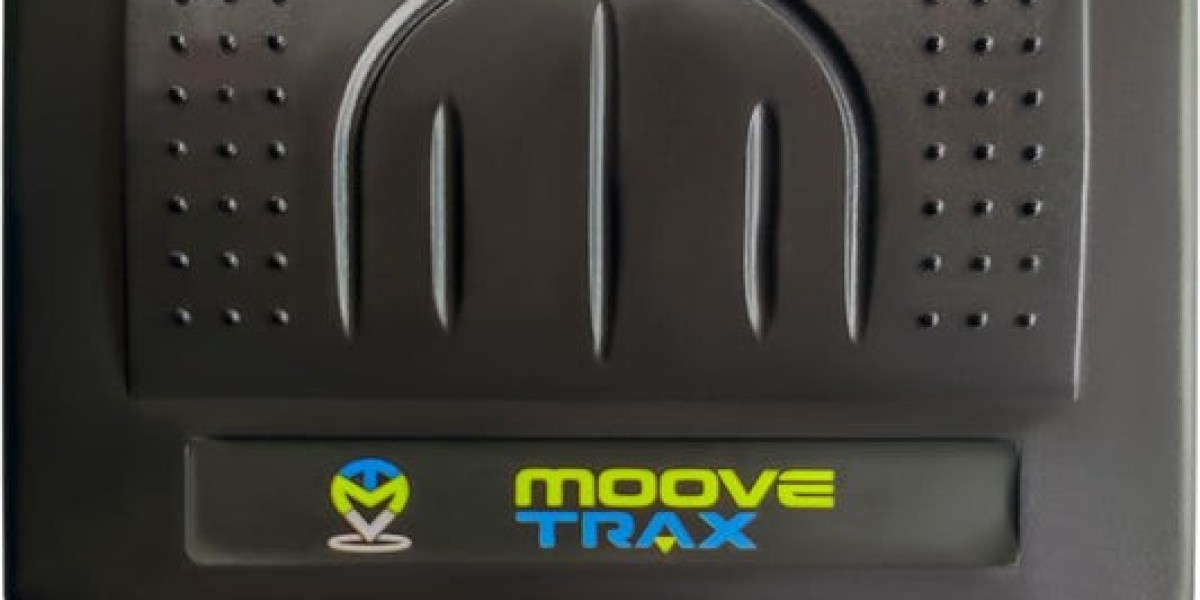 The Growing Importance of Real-Time Tracking in Modern Fleet Management