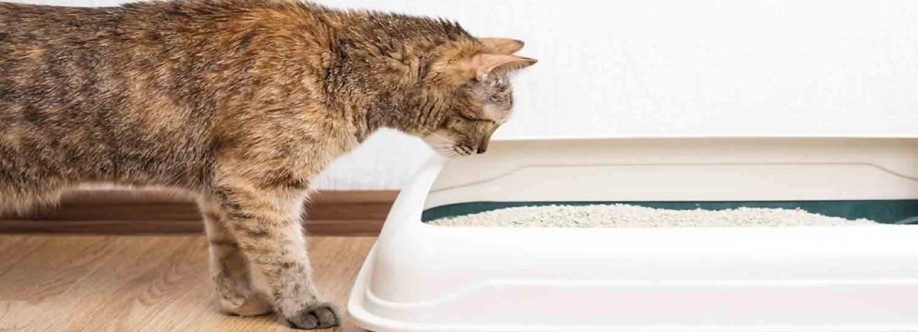 We Love Cats and Kittens Cover Image