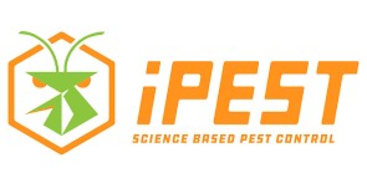 How Regular Termite Control Saves Money on Repairs