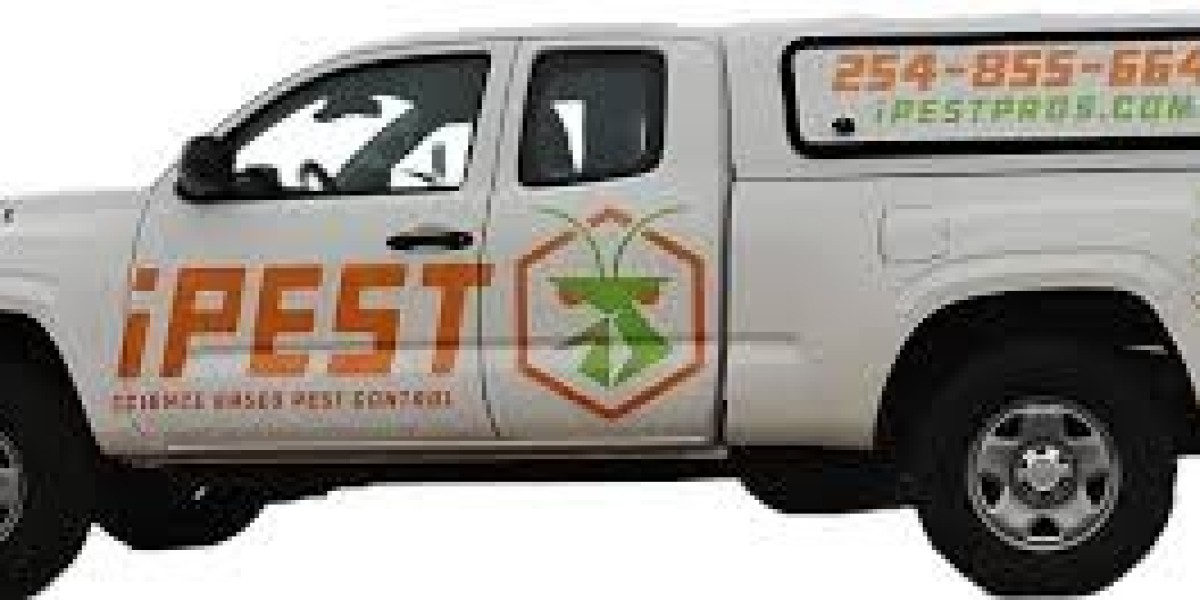 How Professional Termite Treatment Works Step by Step