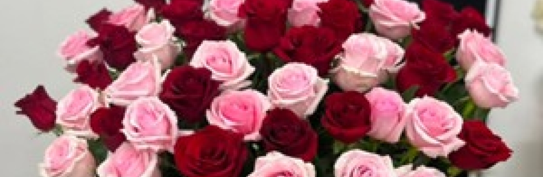 thebloom room Cover Image
