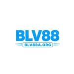 Blv88a org Profile Picture