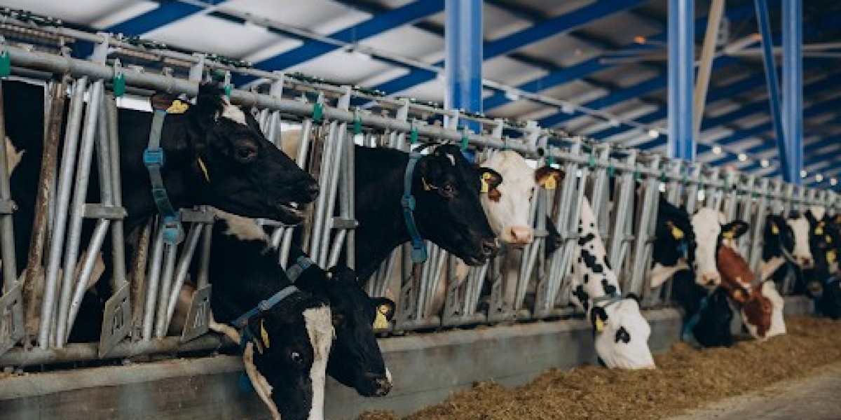 Legal and Practical Tips for Accessing Raw Dairy Products Locally