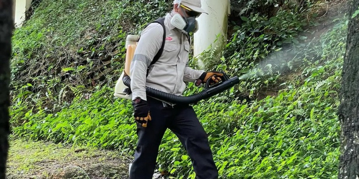 Pest Control Singapore: HDB Prices, Services & What to Expect in 2026