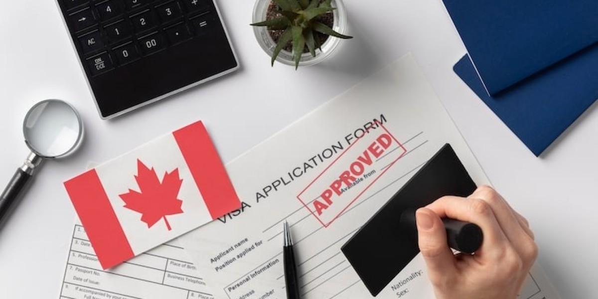 How Much Investment Do You Really Need for an Australian Business Visa?