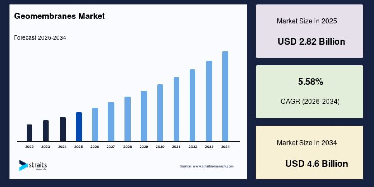 Geomembranes Market Analysis by Material, Technology, and Application