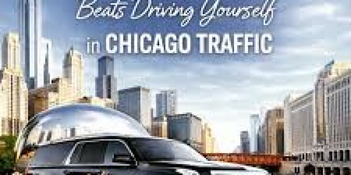 Professional Travel Solutions for Modern Travelers 