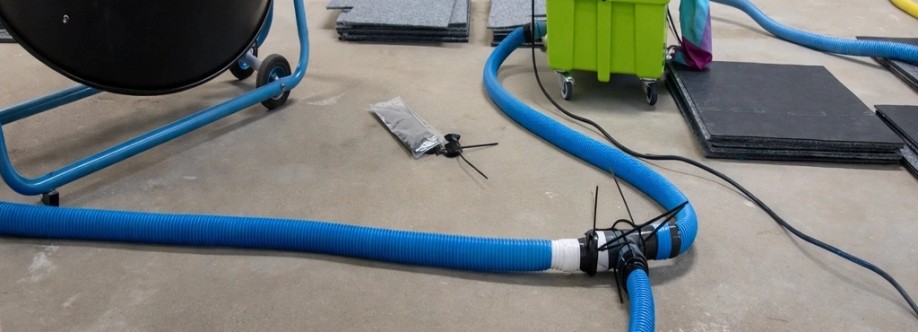 Fresh Carpet Drying Brisbane Cover Image