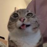 PixelStudios Profile Picture