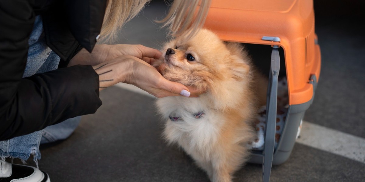 Reliable Pet Transport Service for Safe and Comfortable Pet Journeys
