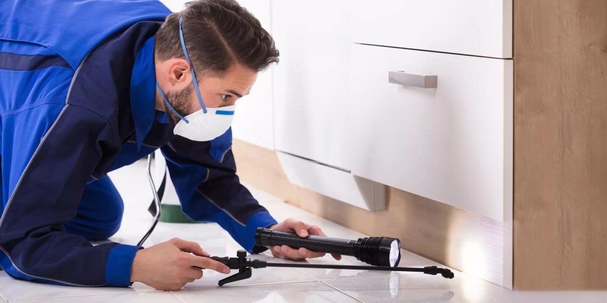 Pest Control Lahore: Why Businesses Can No Longer Ignore Preventive Pest Management