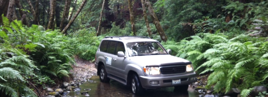 M3 Environmental Consulting LLC Cover Image