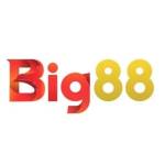 Big88 network Profile Picture
