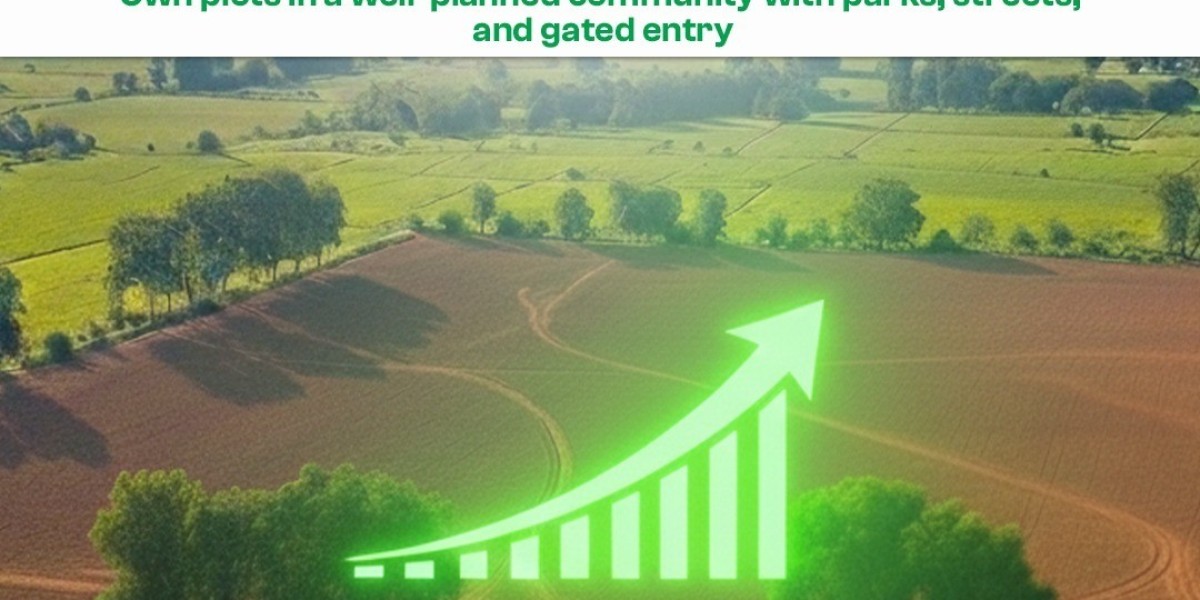 Why the Magadh Vatika Project is an Ideal Choice for Affordable Plots