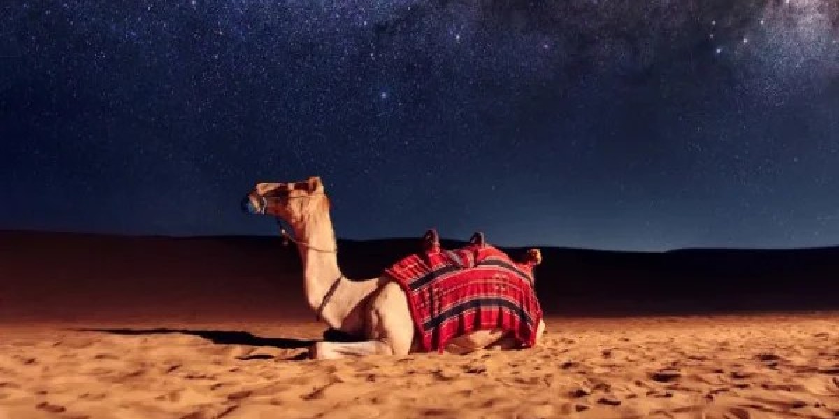 Luxury Camp in Jaisalmer: Complete Travel Guide for First-Time Visitors