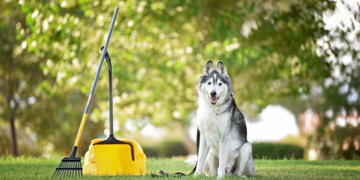 The Clean Lawn Protocol: Professional Pet Waste Removal and Turf Decontamination in Desert Ridge