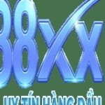 88XX Profile Picture