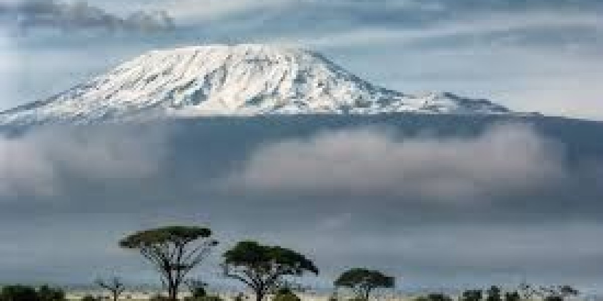 Elevate Your Adventure: Conquering Kilimanjaro with Safari Soles Tours