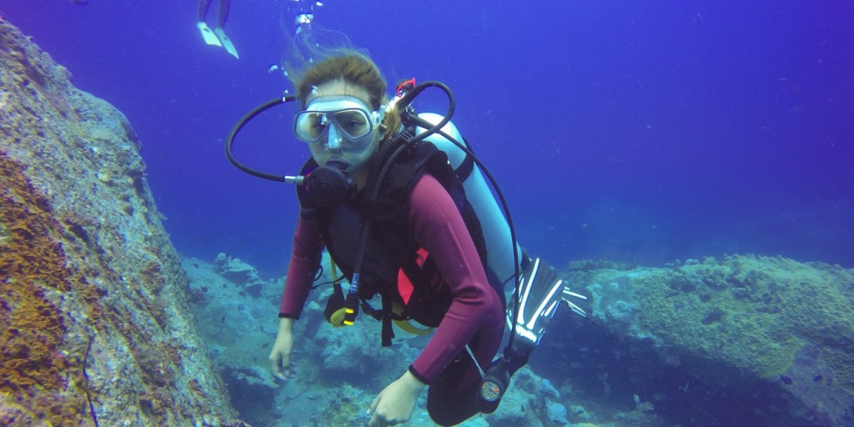 Diving Experiences Along the Red Sea Coast