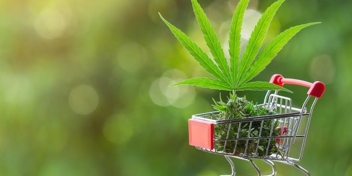 The Tech-Driven Future of Cannabis E-Commerce for a Verilife Storefront