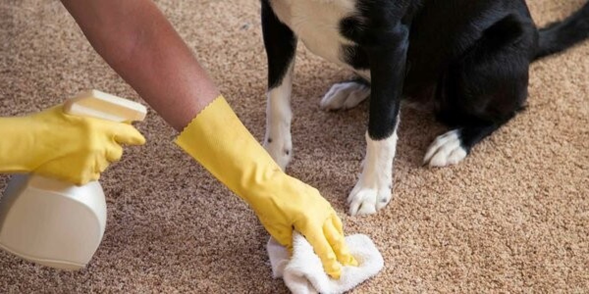 Why Are Pet Waste Removing Services Essential for a Cleaner Outdoor Space?