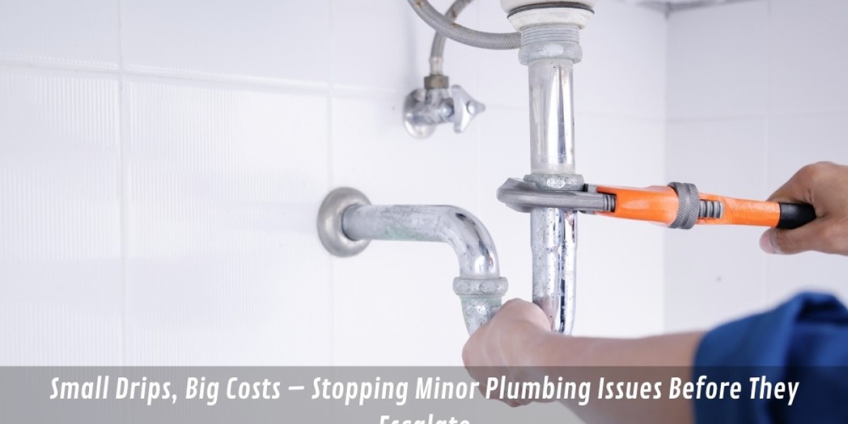 Small Drips, Big Costs – Stopping Minor Plumbing Issues Before They Escalate