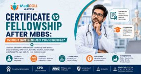 Certificate vs Fellowship After MBBS: Which One Should You Choose? | Chợ Di Linh