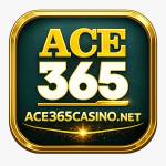 ace365casino net Profile Picture