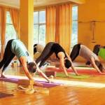 AYM yoga school Profile Picture