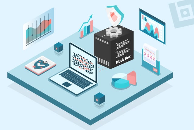 Black Box Testing to Validate Behavior