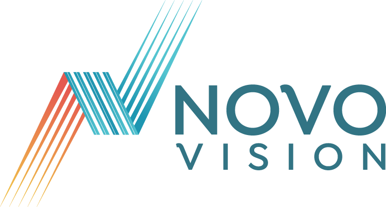NovoVision Consultancy | Support for International Students in the Netherlands