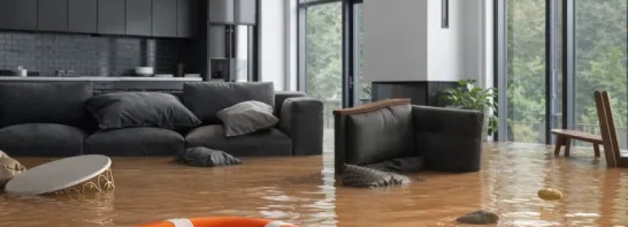 Fresh Water Damage Melbourne Cover Image