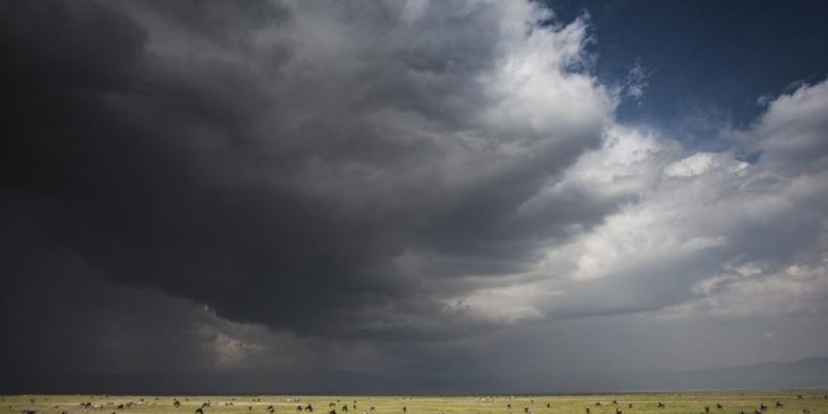 Vencha Travel Offers Personalized Travel Planning and Luxury Safari Packages Throughout East Africa
