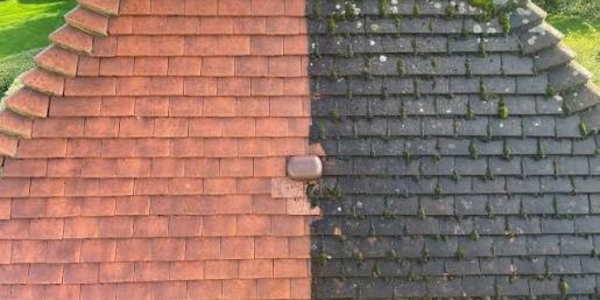 Delaying Roof Moss Removal Could Cost You More Later