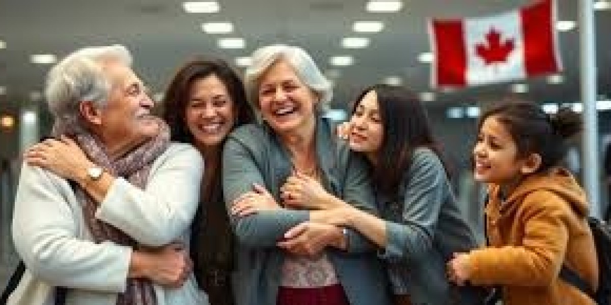 Professional Sponsorship Lawyer in Toronto for Family Immigration