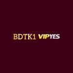 BDTK1 Profile Picture