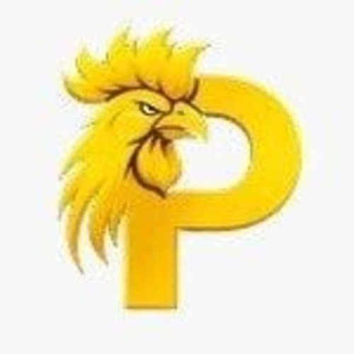 Paito SDY Profile Picture