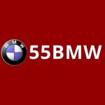 55bmw Game Profile Picture